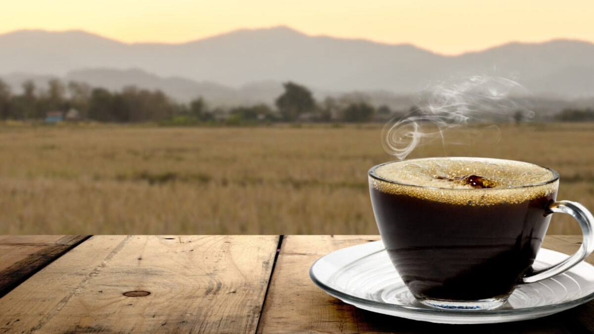 https://coffeeandusa.com/wp-content/uploads/2021/07/Copia-de-What-is-the-Healthiest-Way-to-Drink-Coffee_-1200x675.jpg