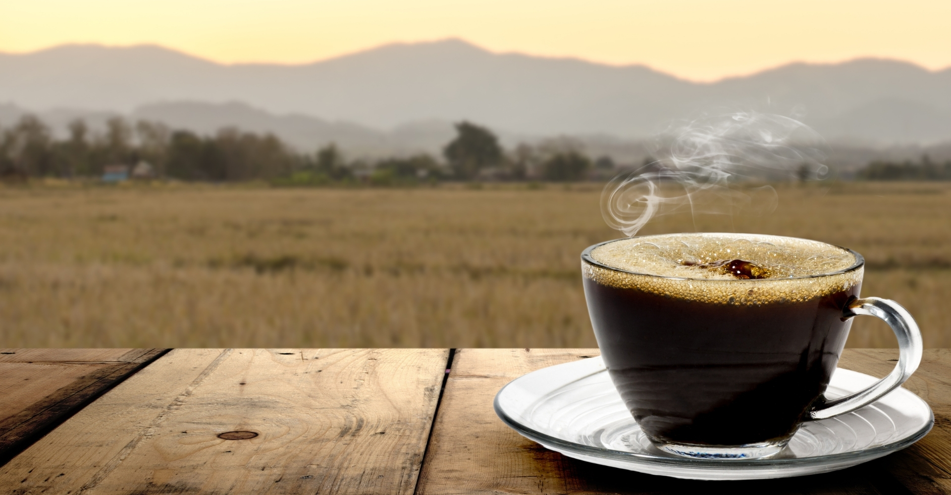 Coffee and USA - What is the Healthiest Way to Drink Coffee