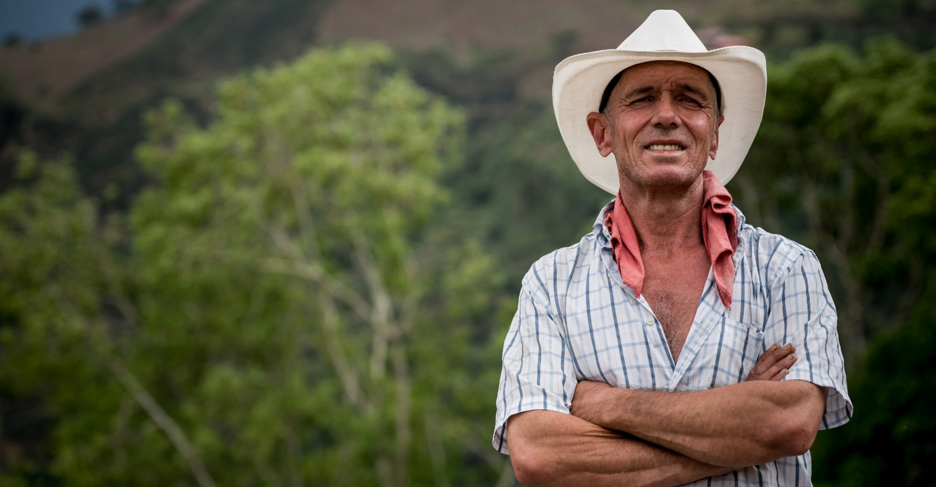 Coffee And USA - What Makes Colombian Coffee Unique